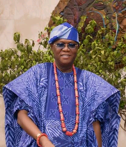 Yemisi Adedoyin Shyllon Image