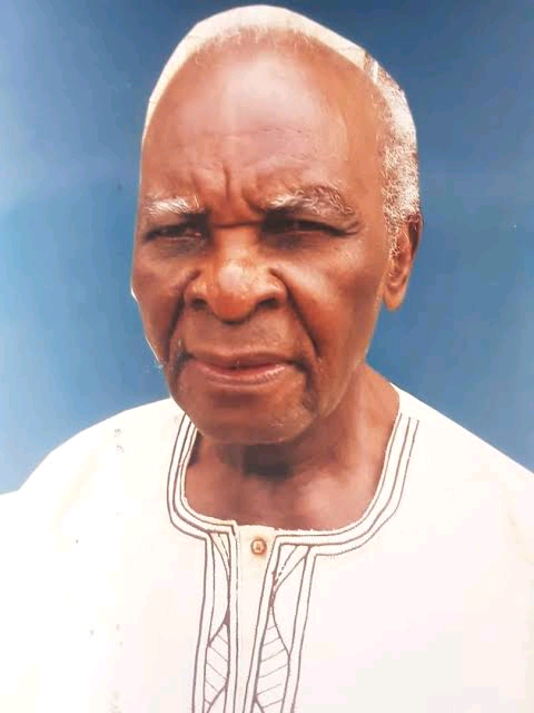 Adelola Adeloye Image