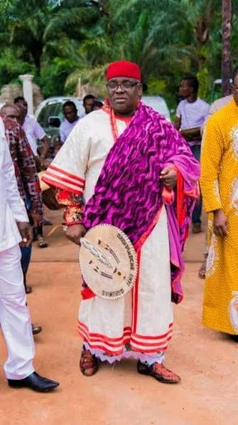 Emeka Nwabueze Image