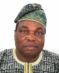 Tayo Nathaniel Fagbemi Image