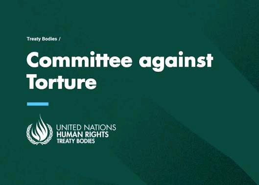 Committee Against Torture Image