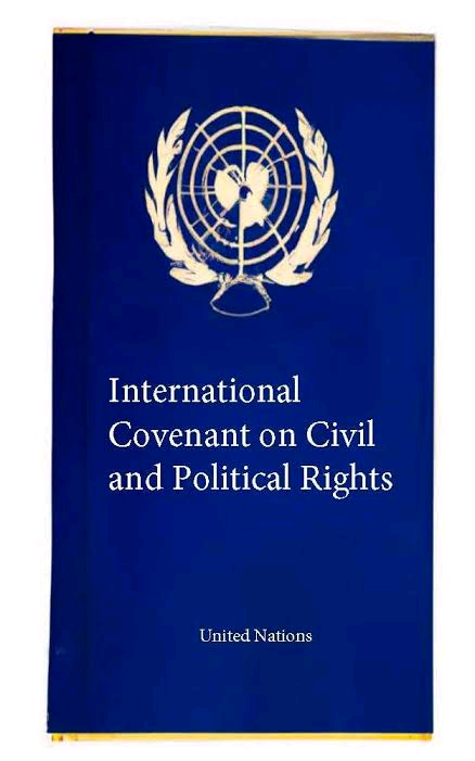 International Covenant on Civil and Political Rights Image