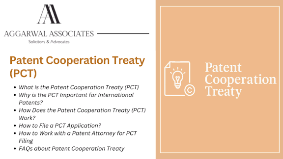 Patent Cooperation Treaty Image