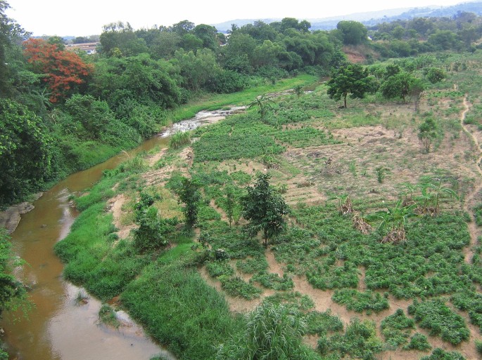 Ekulu River Image