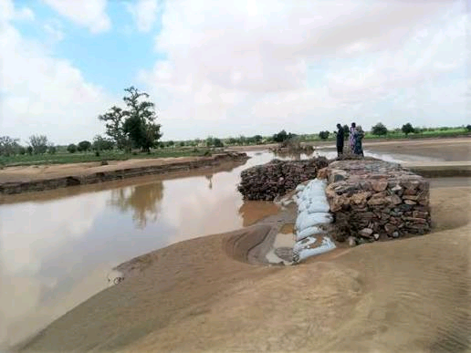 Goulbi de Maradi River Image