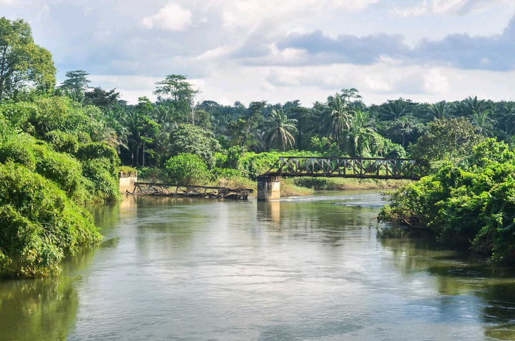 New Calabar River Image