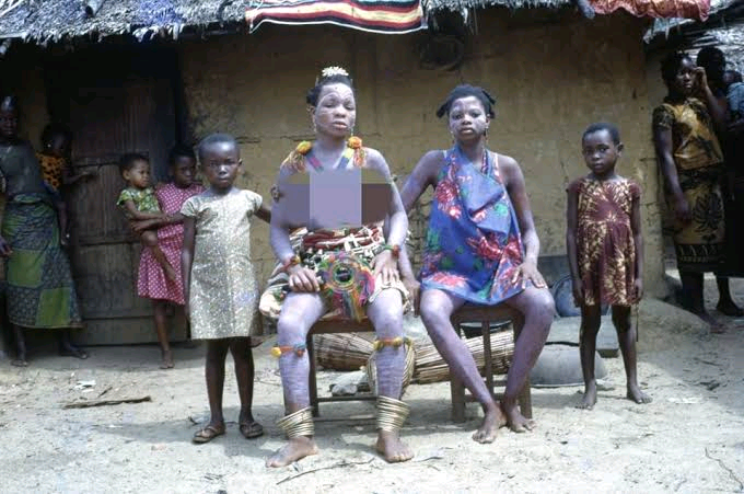 Fattening room Image