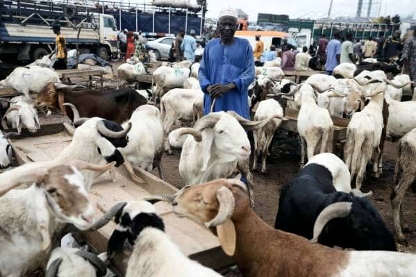 Eid al-Adha in Nigeria Image
