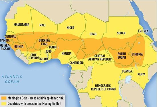 African meningitis belt Image