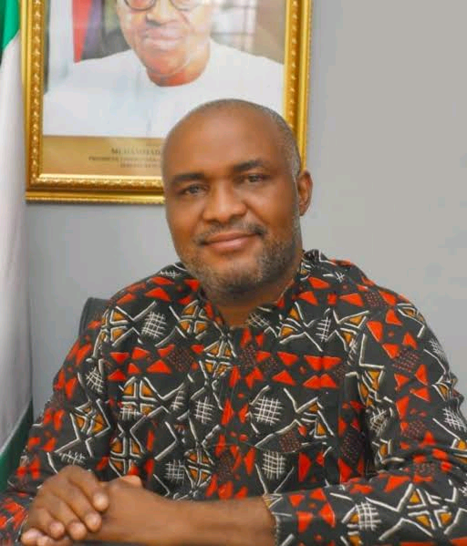 Emmanuel Onwubiko Image