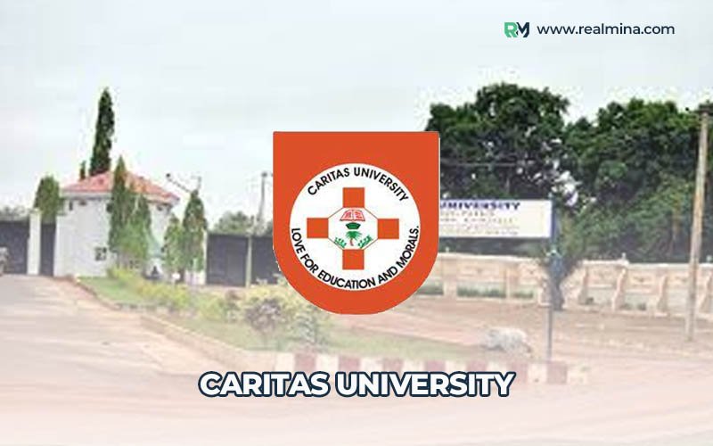 Caritas University Image