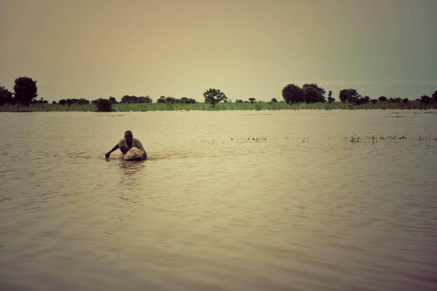 Hadejia River Image
