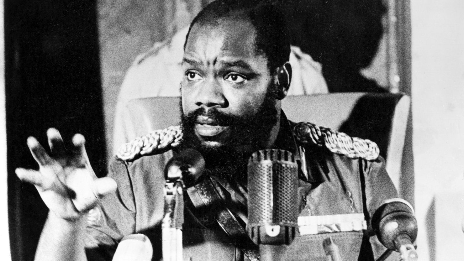 Odumegwu Ojukwu Image